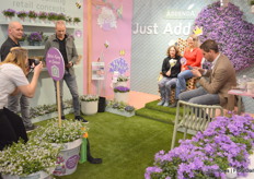 Addenda keeps on inspiring consumers with its abundantly flowering purple campanula